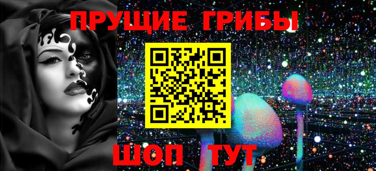 Гусев  Галлюциногенные грибы GOLDEN TEACHER  Вход с VPN 