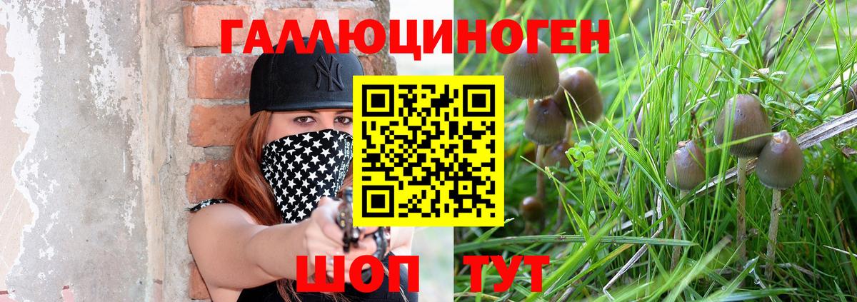 Галлюциногенные грибы GOLDEN TEACHER Гусев